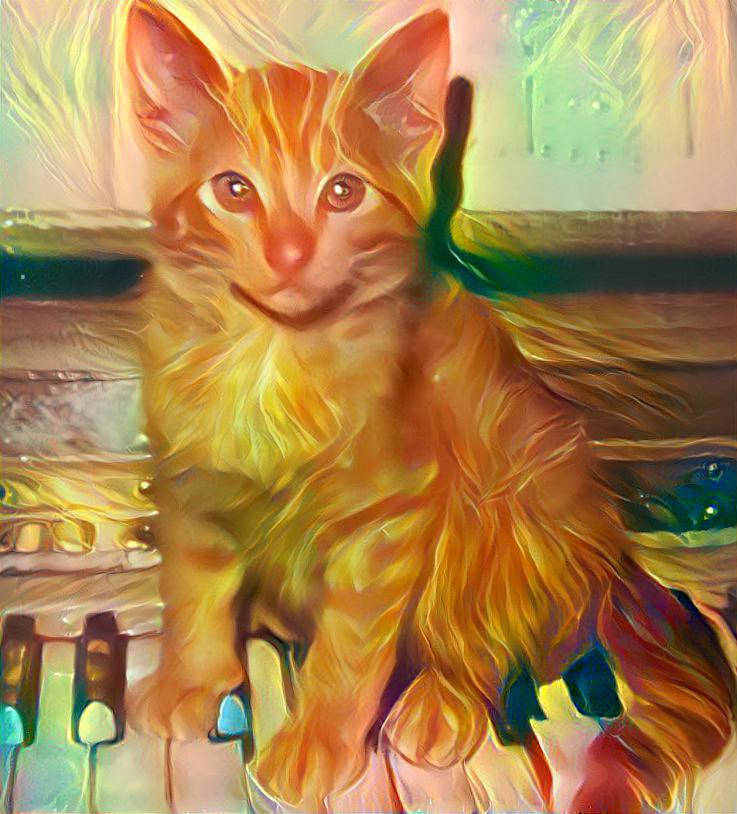 Worried Kitten Sitting on Piano Keys