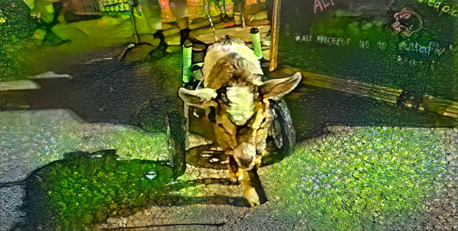 Goat on wheels