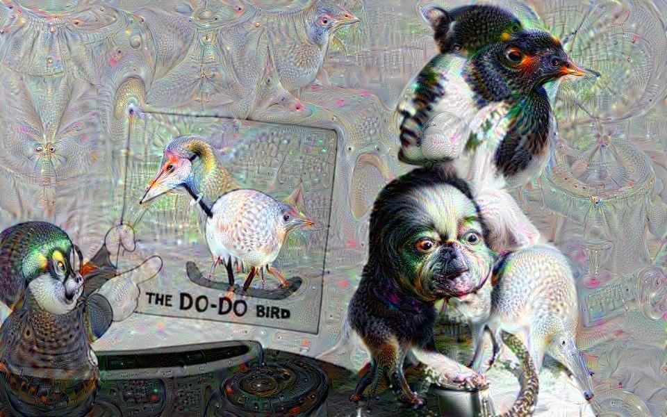 How many last Dodos does it take to process a deep dream image?