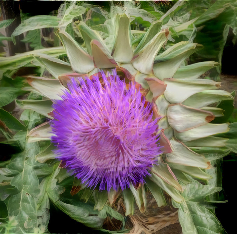 Artichoke in bloom (original photo and style found on pixabay)