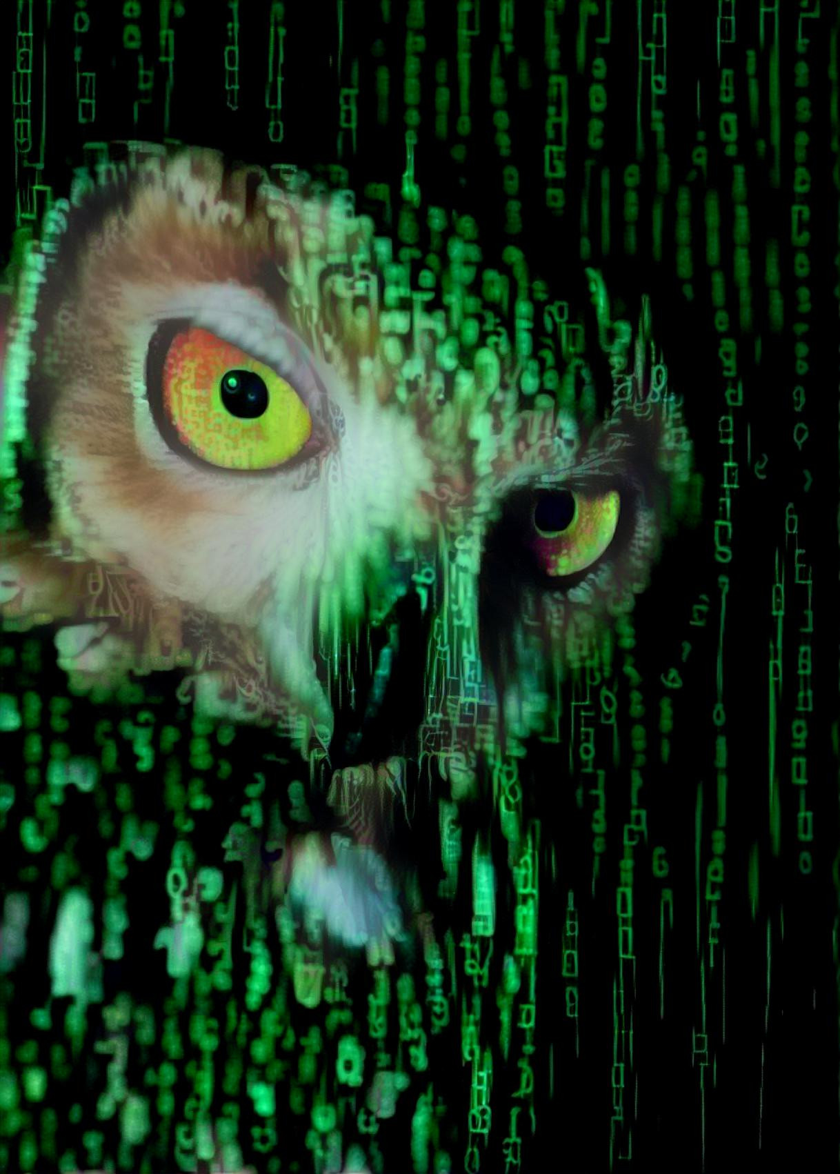 Matrix Owl