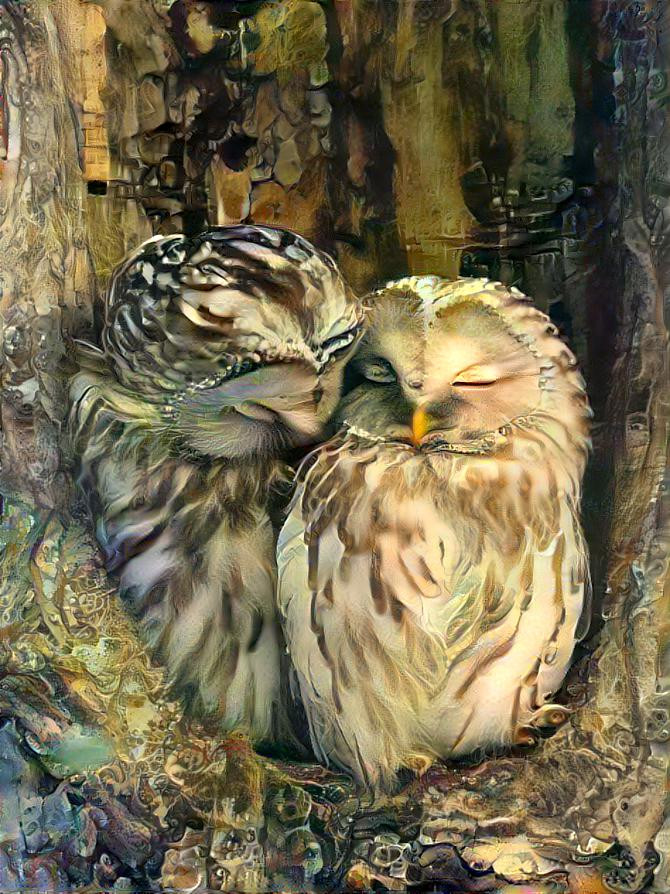 Snug Owls 3