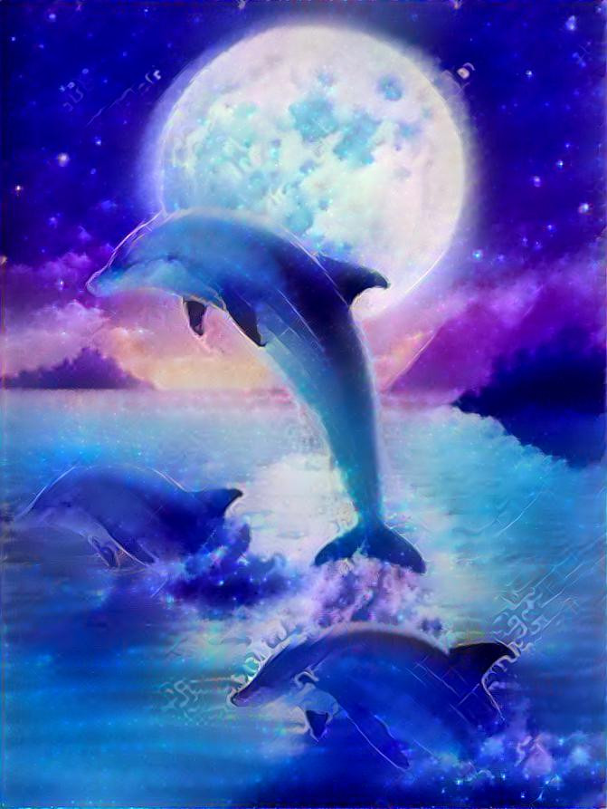 Night Dolphin