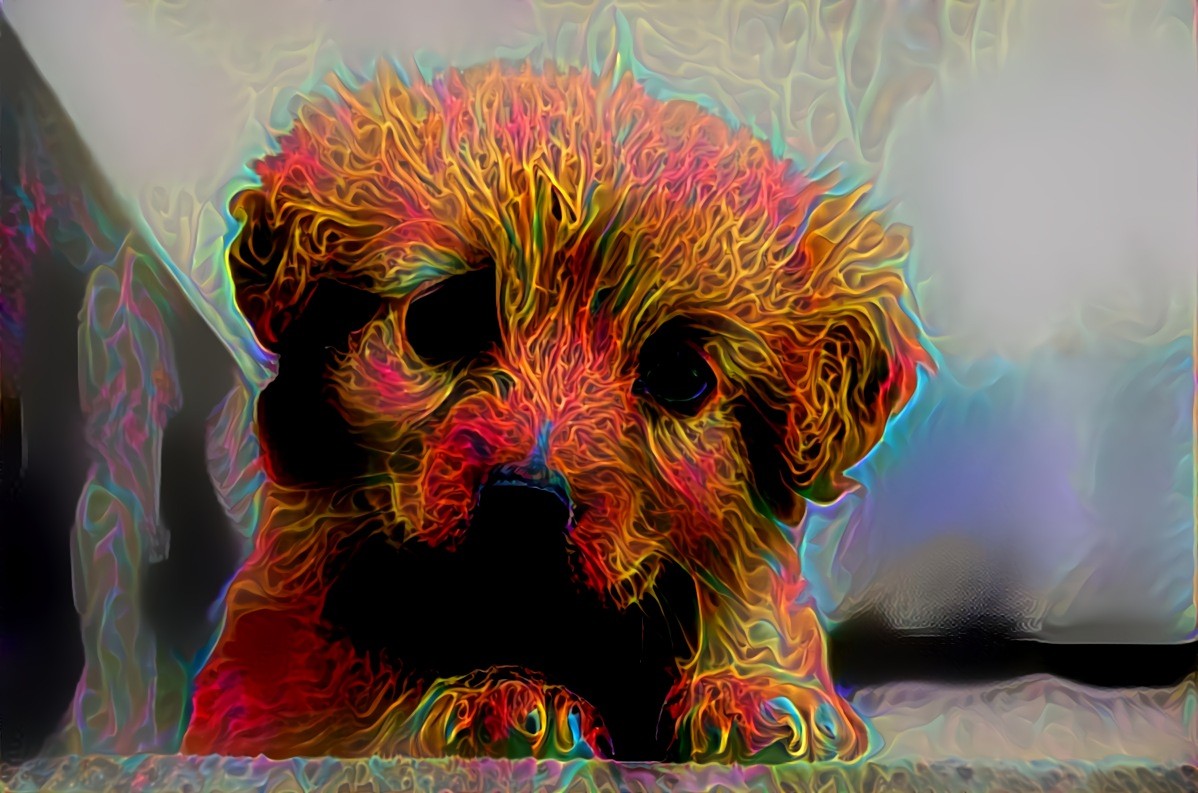 Cosmic Puppy
