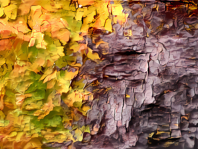 Autumn Leaves, October 2015 #5