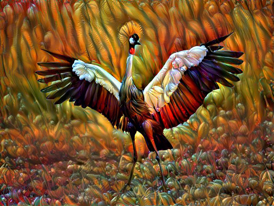"Crowned crane" 