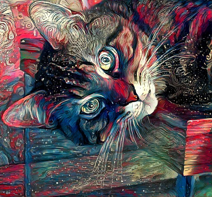 Duck, the cat with Picasso Eyes
