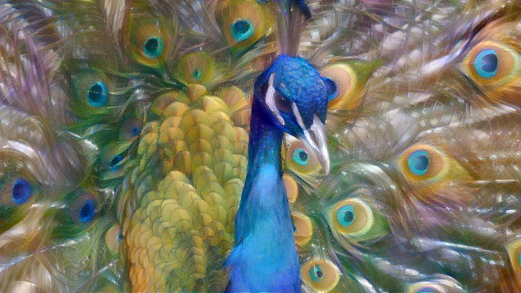 Dreamy Peacock