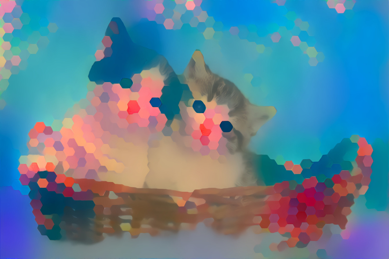 abstract cat