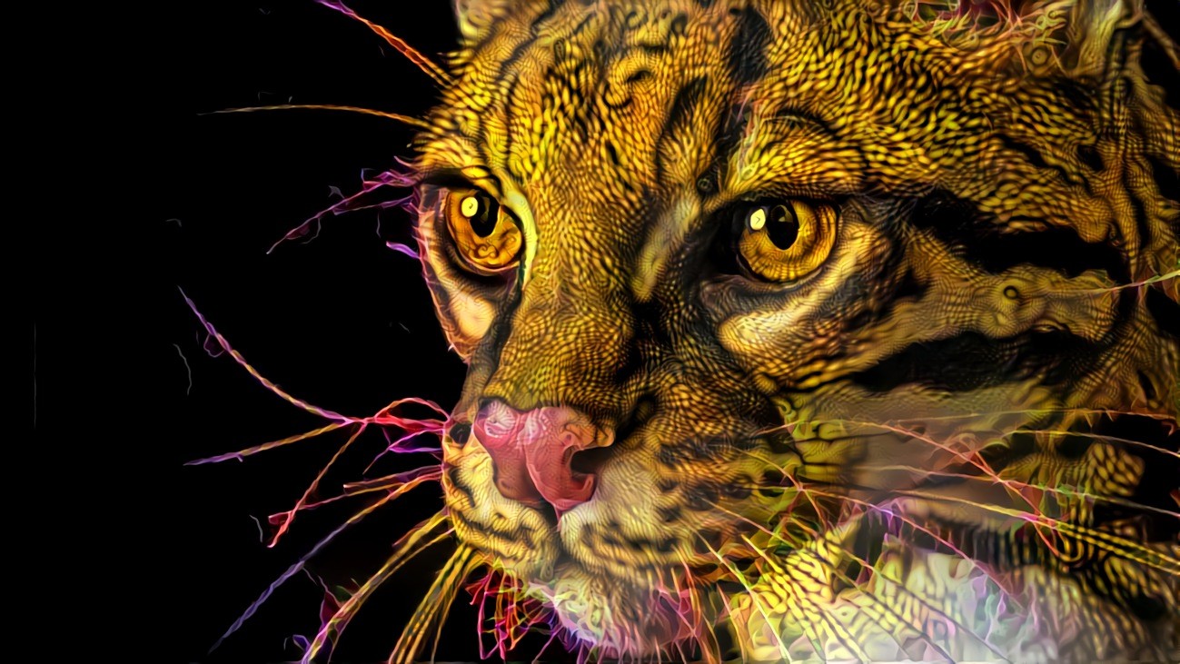 “Oscillating Ocelot” To see it in motion join the “Deep Dreamers” Facebook Group. REMEMBER TO INCLUDE YOUR DDG PROFILE INFO IN THE APPLICATION!