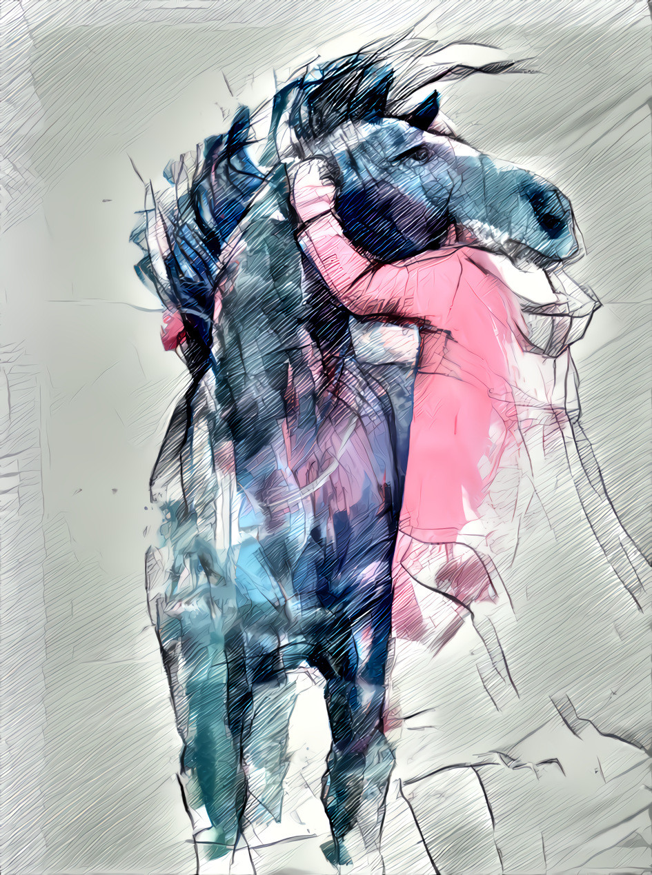 love your horse ( люблю свою лошадь )
