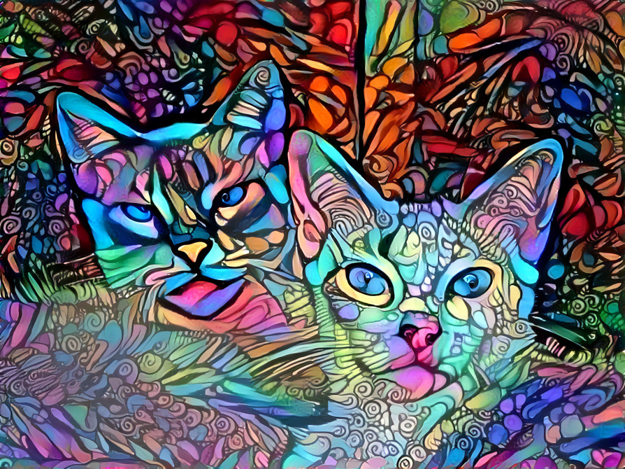 Cromacats