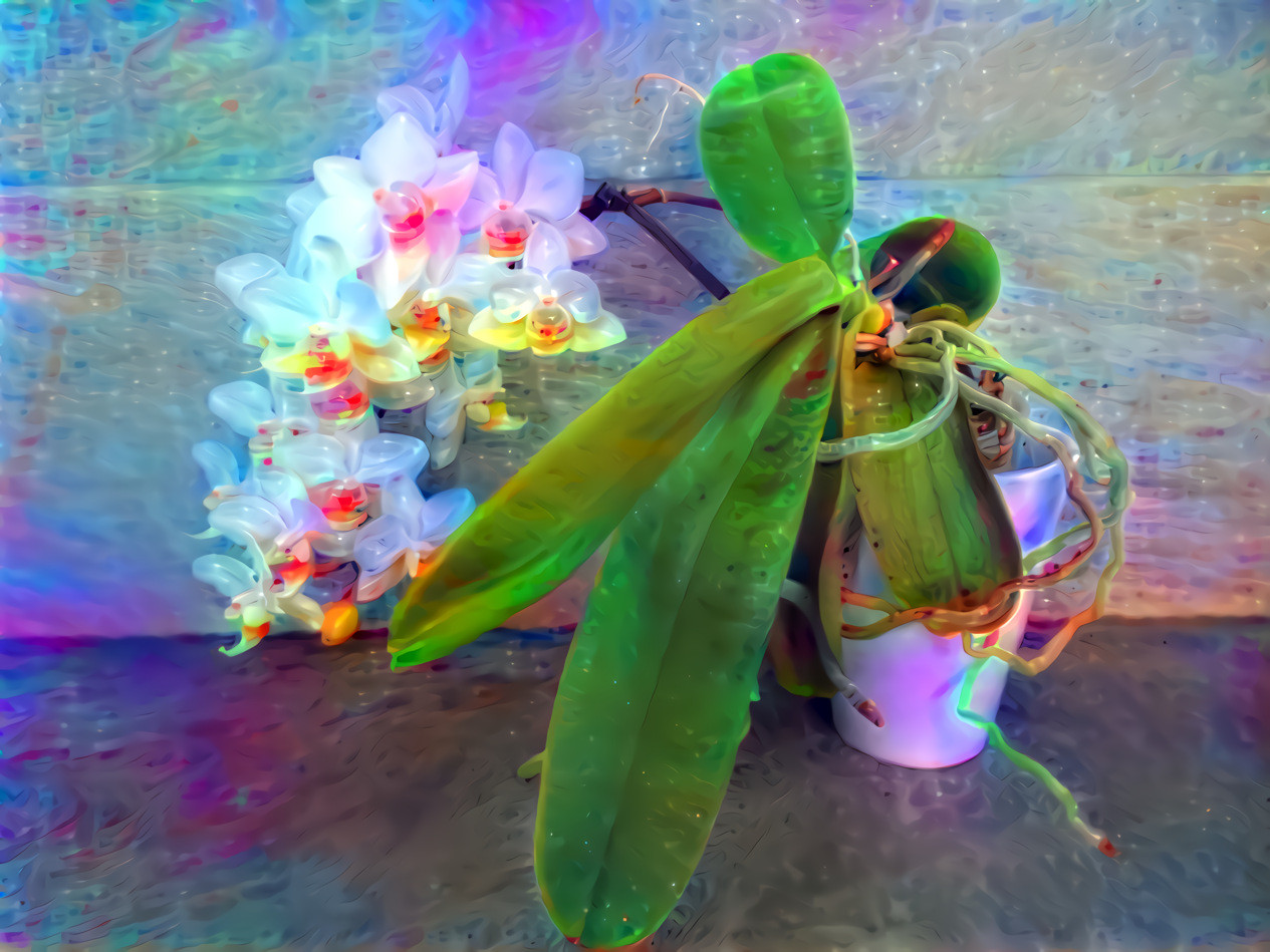 orchid with a holographic effect