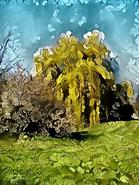 Weeping willow in Spring