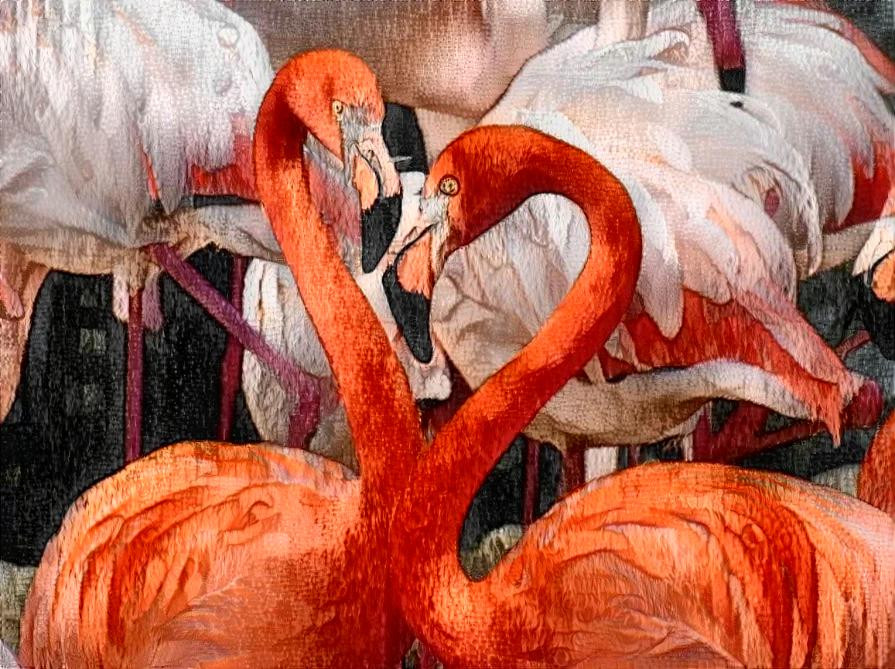 flamingos!