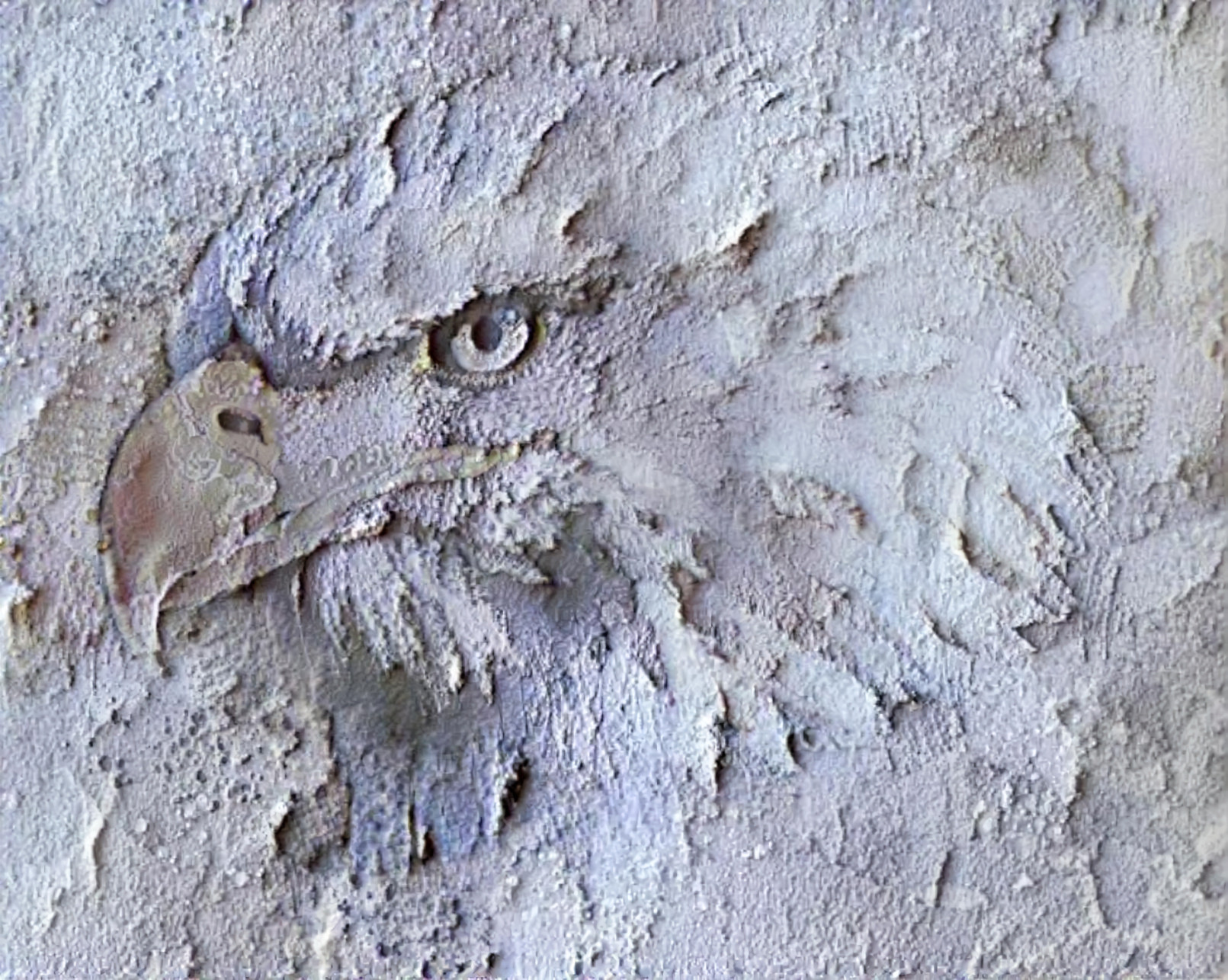 Imprint of an Eagle 