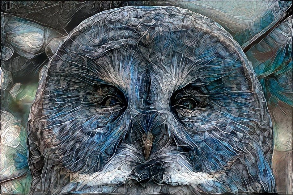 Owl Look Into Your Soul /// OG Pic credit : Bernard Spragg https://www.flickr.com/photos/volvob12b/