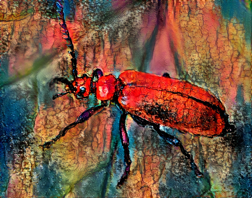 Fire Beetle - 3a