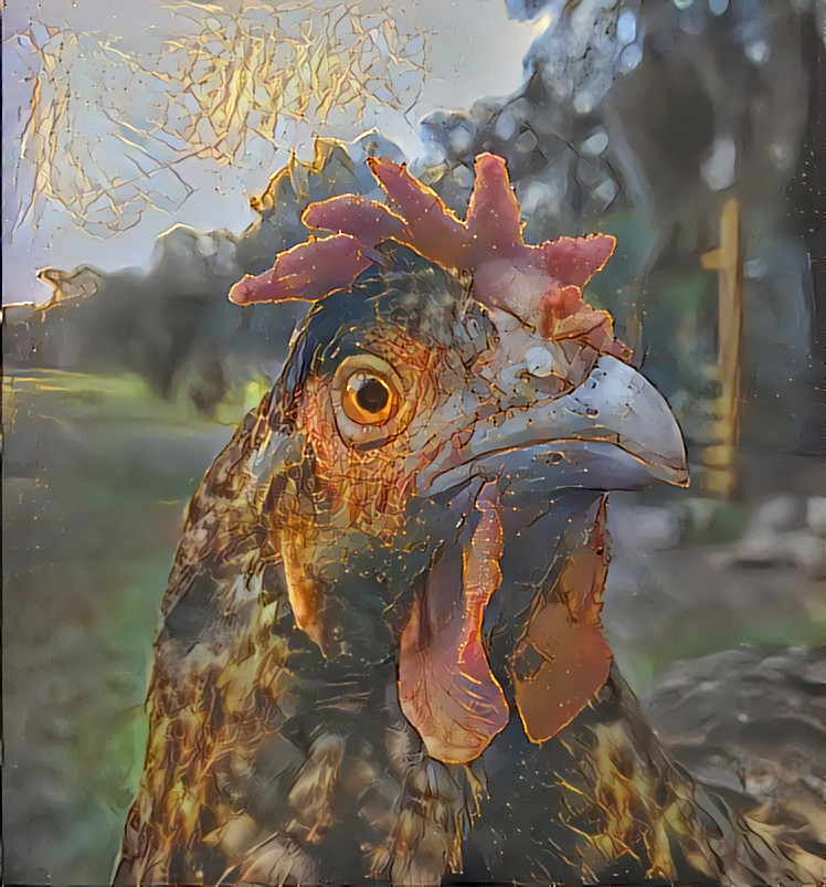 Old Hen