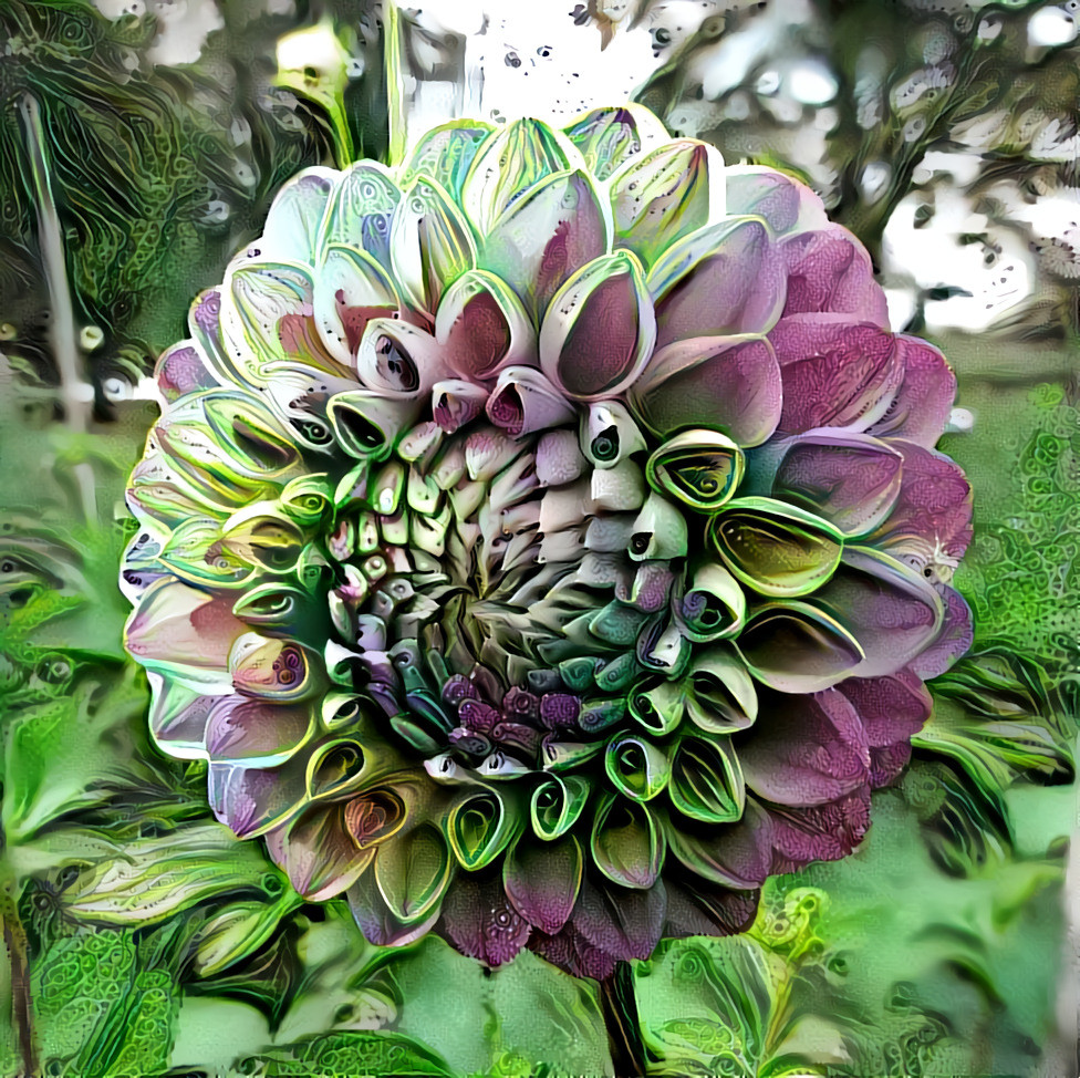 My Dahlia with a quilling collage.