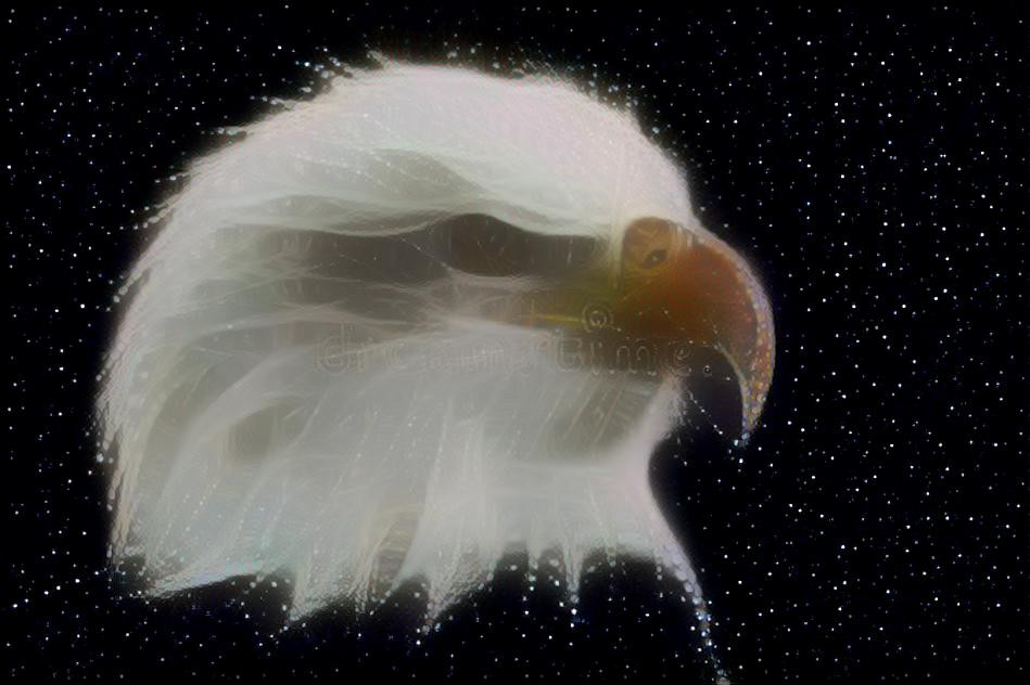 Eagle in the Stars