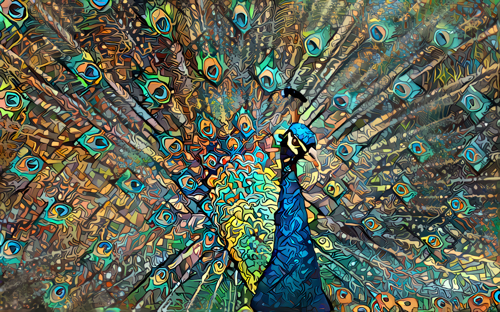 Beware the peacock