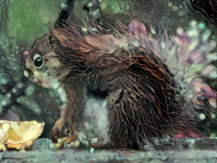 Baby Squirrel- photographer Niesdri Welsh