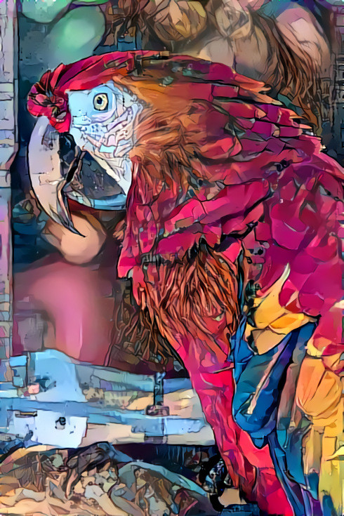 DDG Red Parrot
