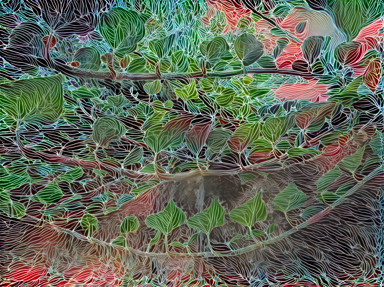 Ivy 7 floral-pattern-background-203_1