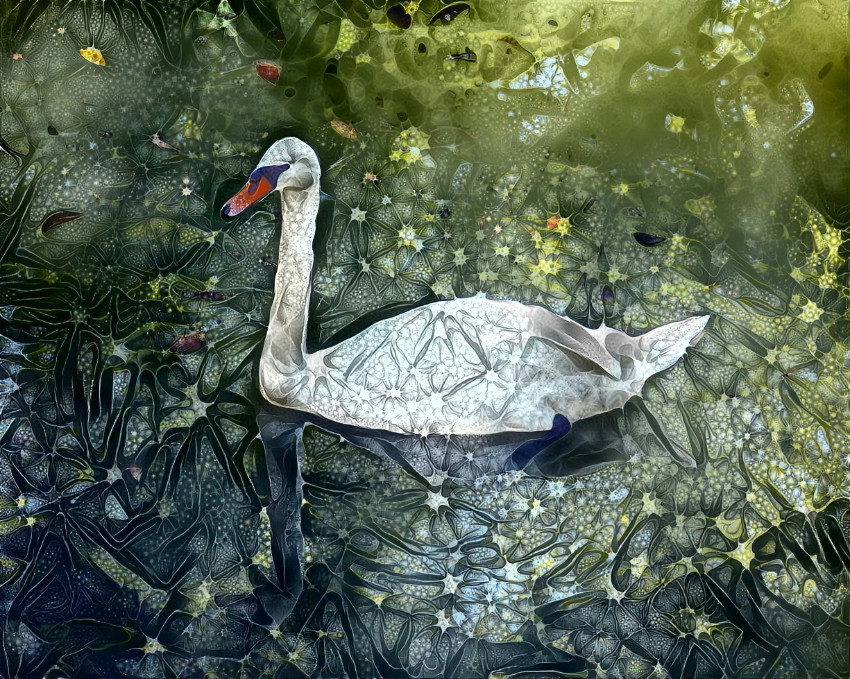 Swan on a Magic Lake