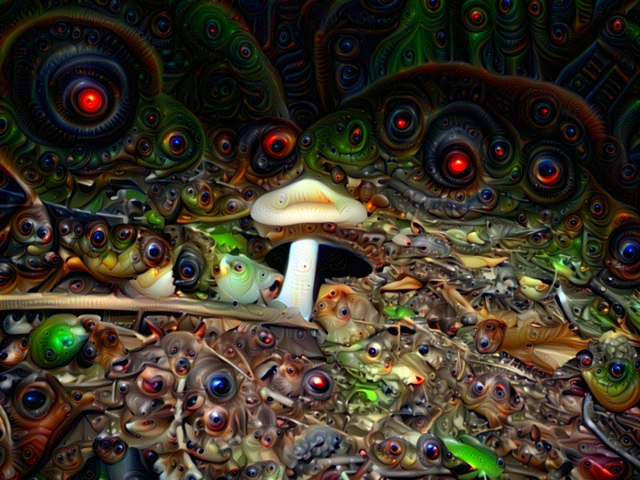 Too many eyes on my mushroom