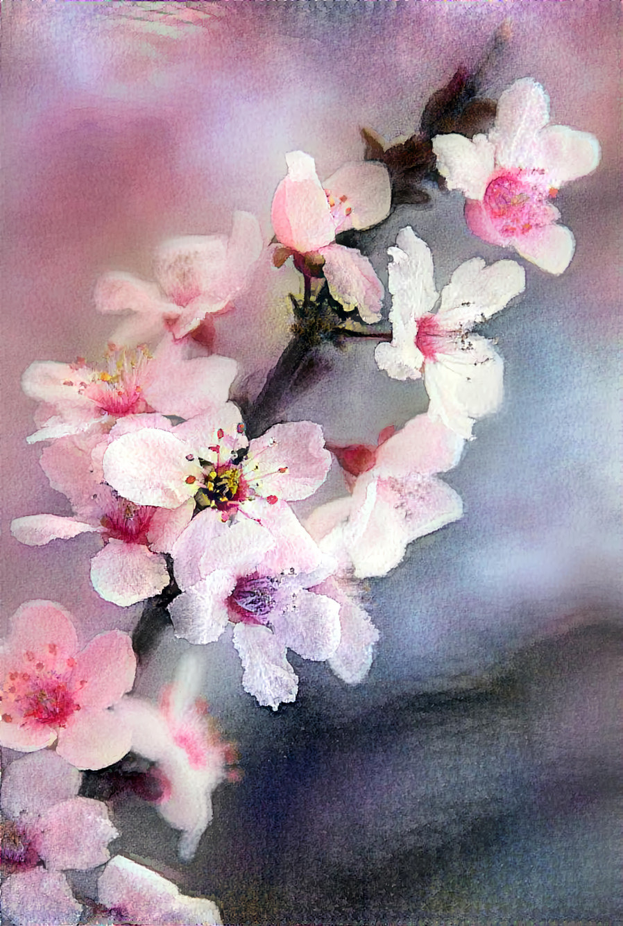 Watercolor - Cherry Blossom