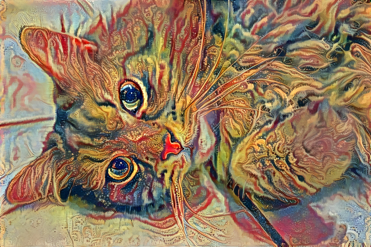 LSD Cat