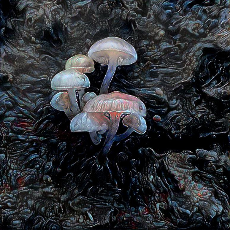 Primordial Mushrooms