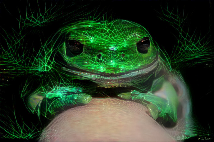 Laser Frog