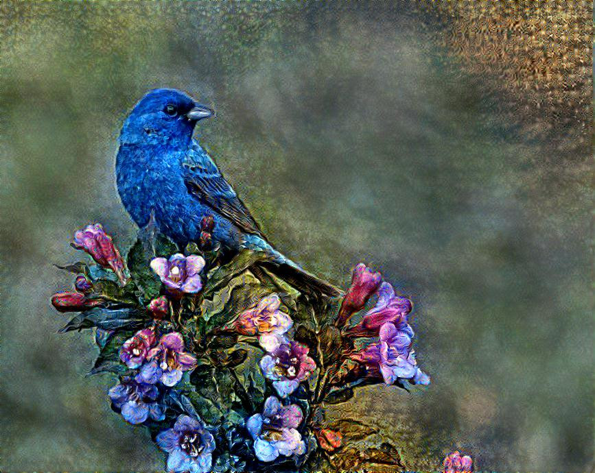 Bird on flower 