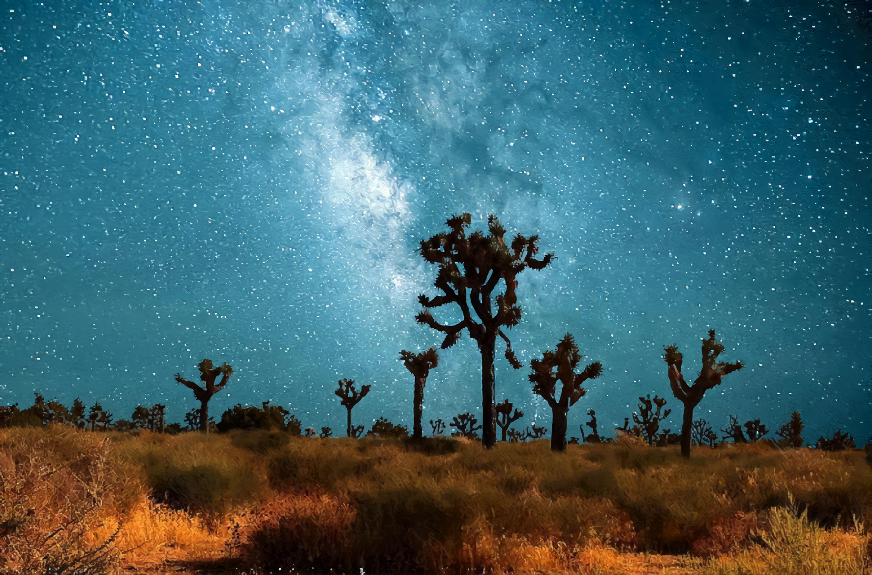 Starry Night, Milky Way, Joshua Trees