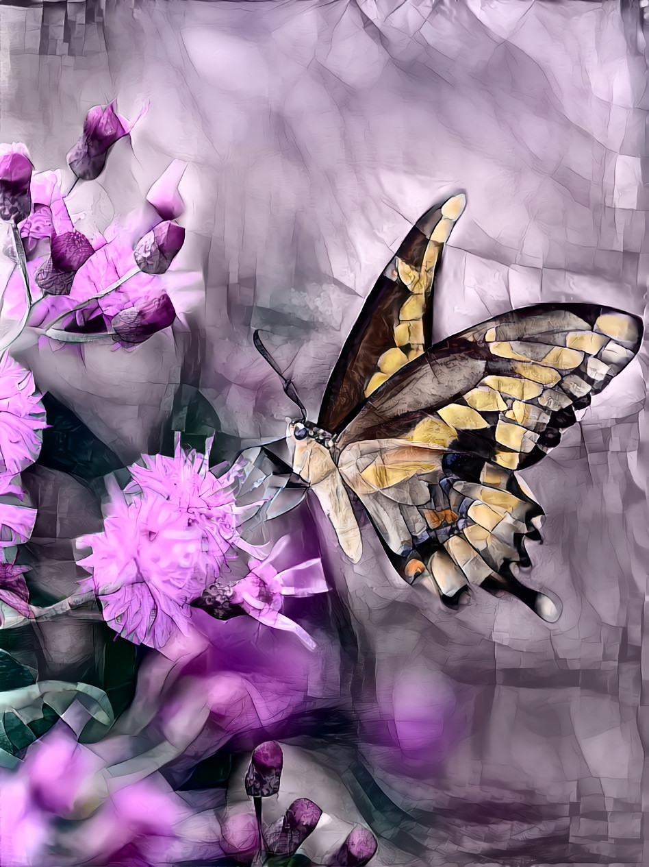 Butterfly, pink flowers