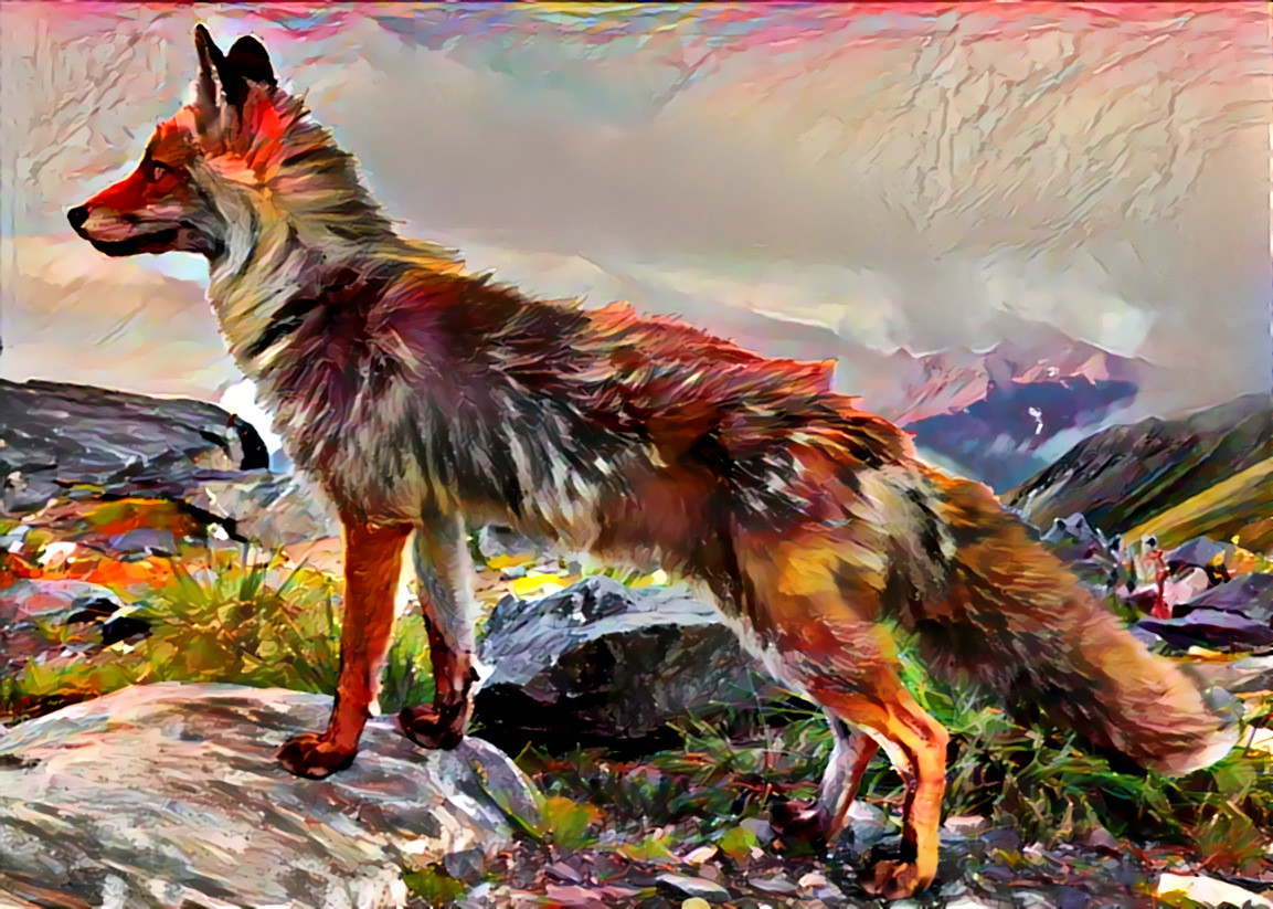Fire Fox Glowing Red at Twilight — [CC BY-SA 4.0, Uoaei1 - Own work, https://commons.wikimedia.org/w/index.php?curid=80926738]