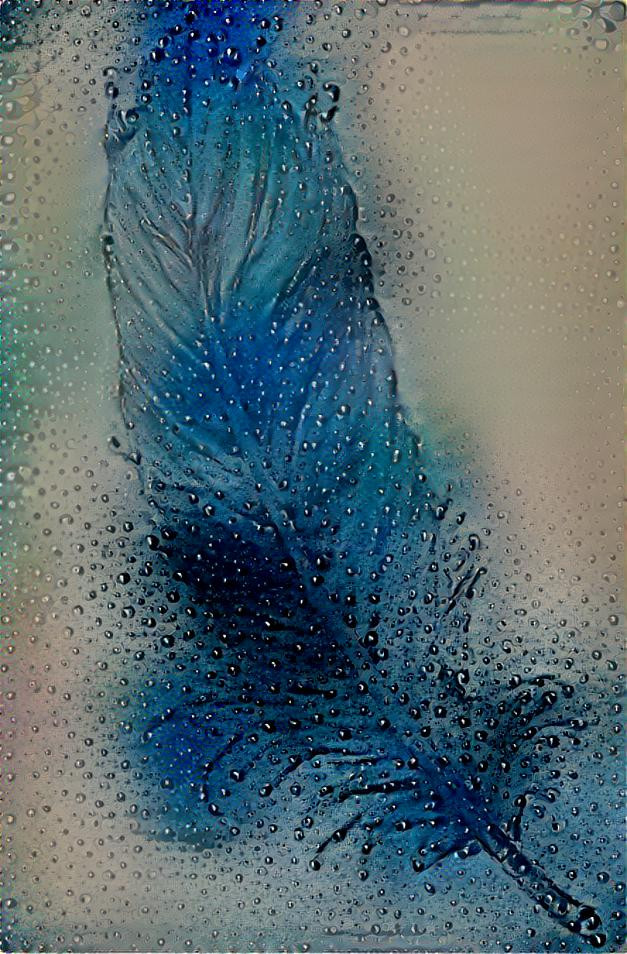 feather in the Rain