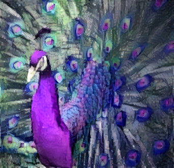 Purple Peacock (Oil Painting)