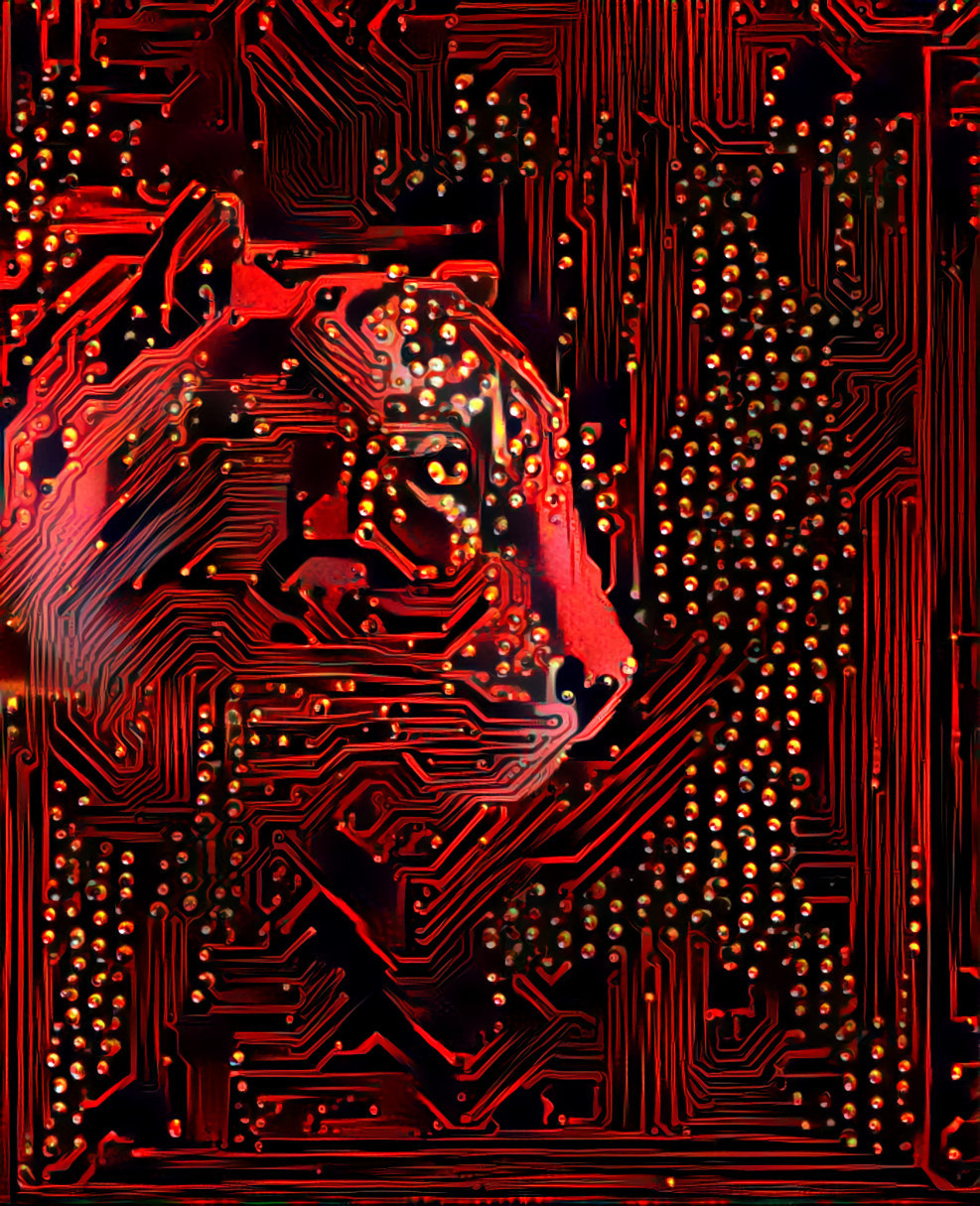 IT Tiger