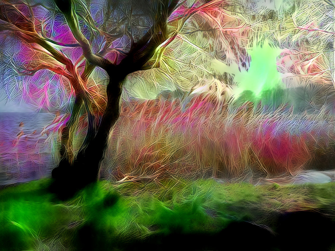 -  -  -  -  -  'Ethereal Waterside Tree'  -  -  -  -  -  Digital art by Unreal - from own photo. 
