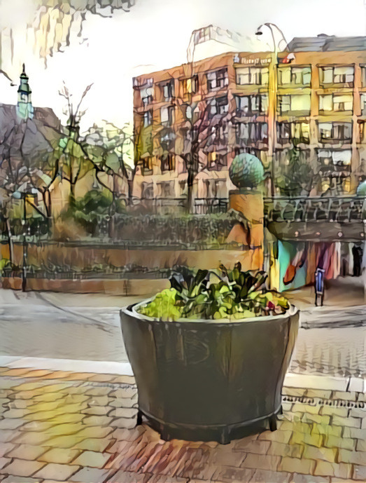 Stilleben, my favourite flowerpot, @ cityhall #malmö @#fff fridays for future