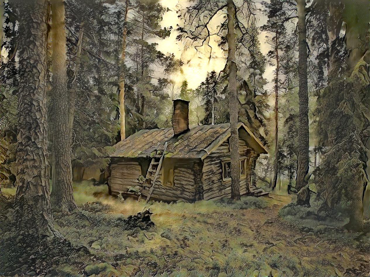 LITTLE HOUSE IN THE WOODS....