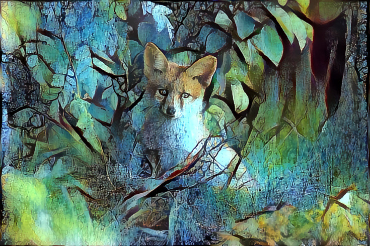 Hidden Fox