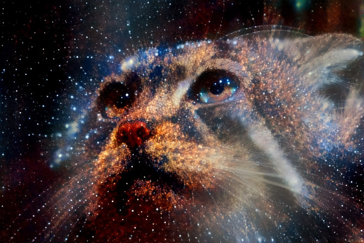 Cosmic Kitty