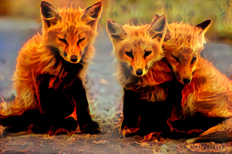 Redreaming Deep Dreamed Fox cubs on Fire