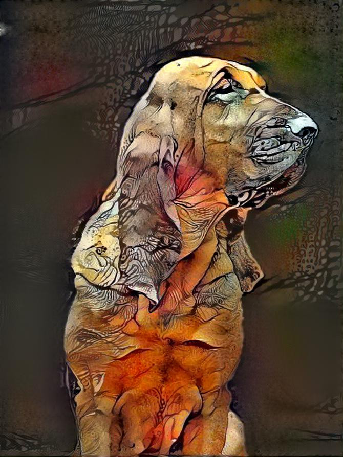 My bloodhound Carmen