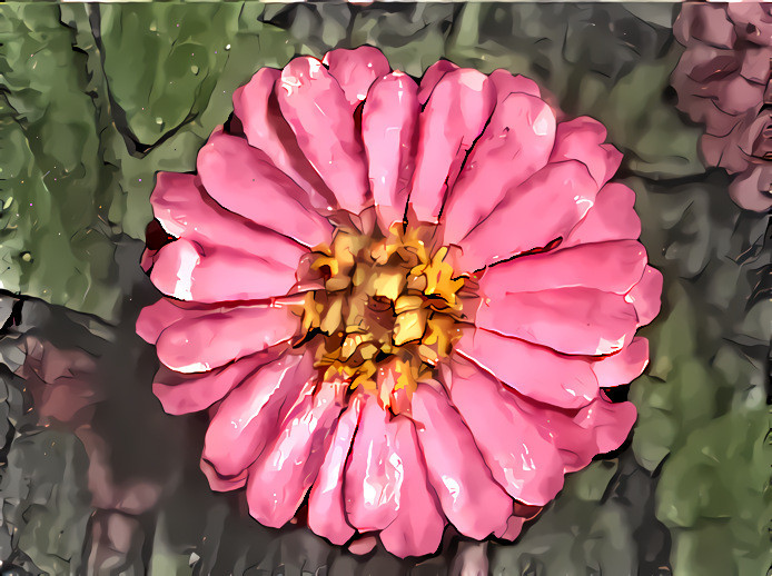 Pink Flower #1